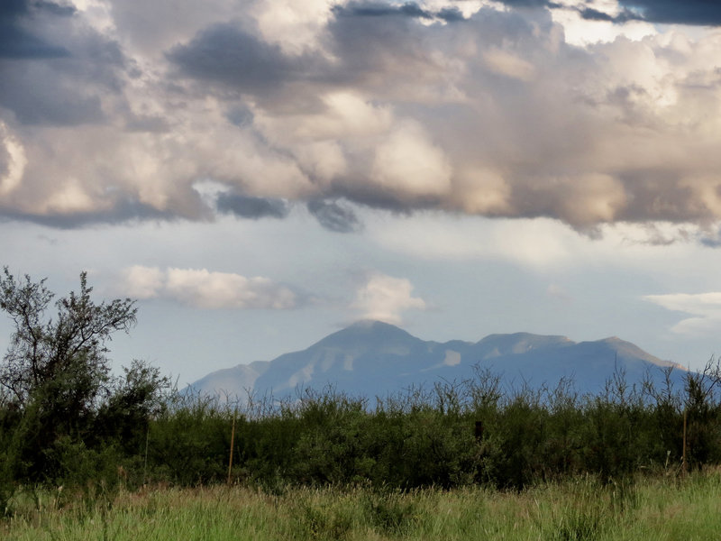 San José Mountain, Sonora, Mexico