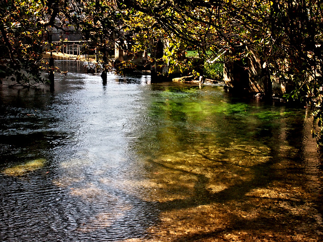 La Sorgue - Fontaine-de-Vaucluse - Provence