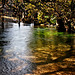 La Sorgue - Fontaine-de-Vaucluse - Provence