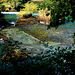 Fontaine de Vaucluse Provence