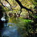 Fontaine de Vaucluse