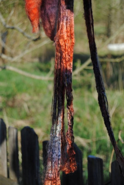 Dyed Silk