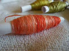 Cocoons, hand dyed from the workshop 2011