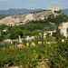 Vaison-la-Romaine Provence