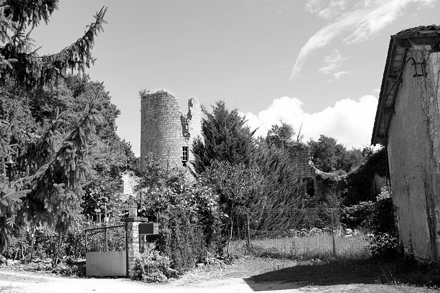 Vestiges d'une tour du château de Pranzac