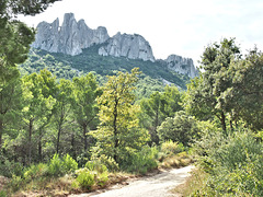 Dentelles de Montmirail Provence