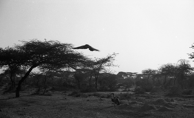 Ethiopia 2005/6