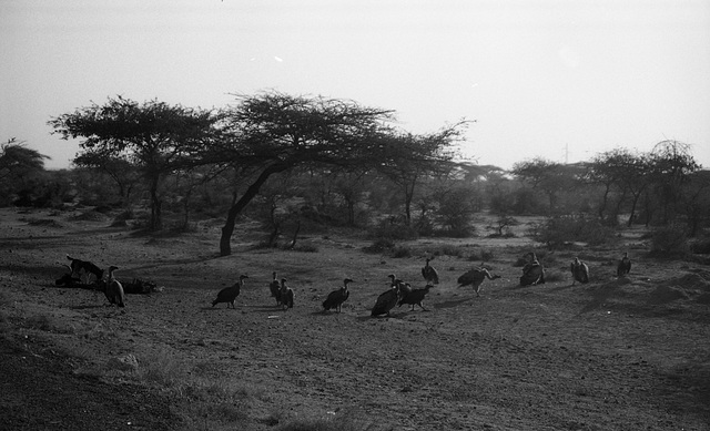 Ethiopia 2005/6