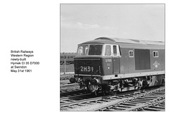 BR WR Hymek D7000 Swindon 31.5.1961 by John Sutters