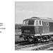 BR WR Hymek D7000 Swindon 31.5.1961 by John Sutters