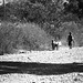 Ethiopia 2005/6