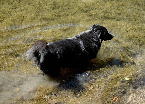 Lucas playing in the Traventine Creek 24-9-13