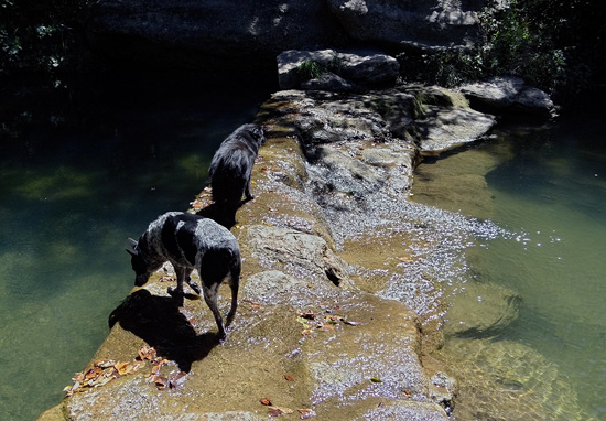 13 Flicka & Lucas playing in the Traventine Creek 24-9-13