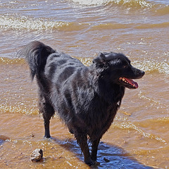 22 Lucas on the shore at Lake Arbuckle 24-9-13