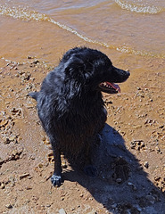 23 Lucas on the shore at Lake Arbuckle 24-9-13