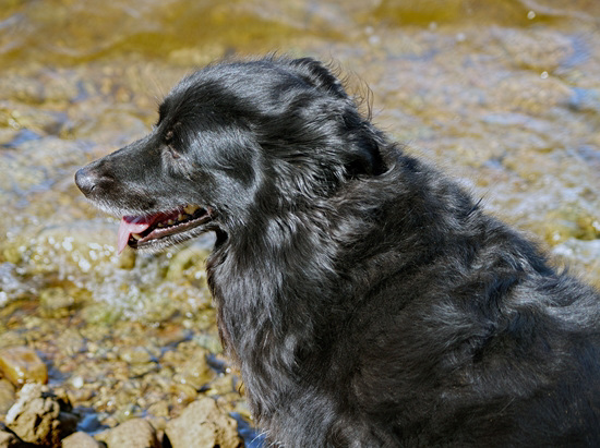 29 Lucas on the shore at Lake Arbuckle 24-9-13