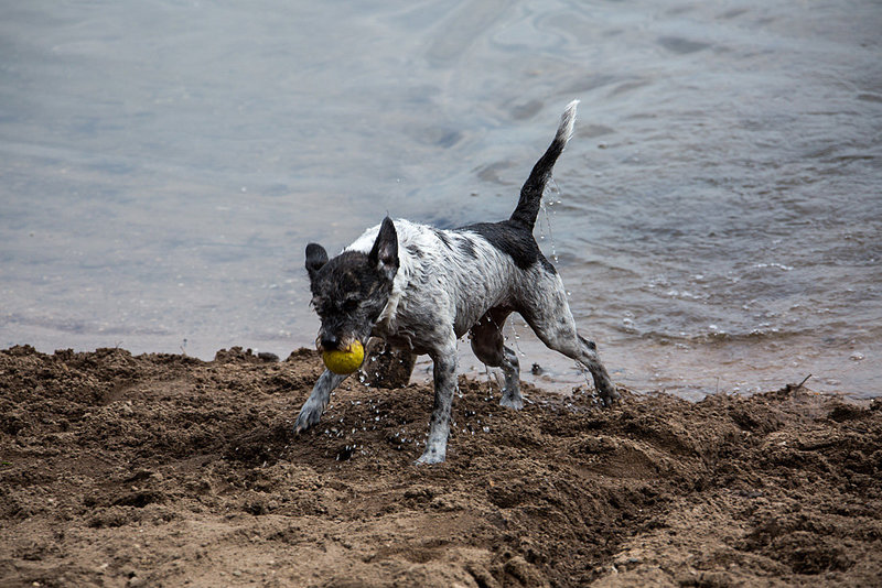 20140520 3463VRAw [D~DU] 6-Seenplatte, DU-Wedau