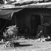 Ethiopia 2005/6