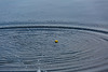 20140520 3445VRAw [D~DU] Ball-Wasserringe, 6-Seenplatte, DU-Wedau