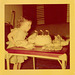 Mary, fighting a stiff headwind on her third birthday, June, 1950 Mary, fighting a stiff headwind on her third birthday, June, 1950