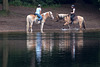 20140520 3435VRAw [D~DU] Haflinger, 6-Seenplatte, DU-Wedau