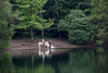 20140520 3426VRAw [D~DU] Haflinger, 6-Seenplatte, DU-Wedau