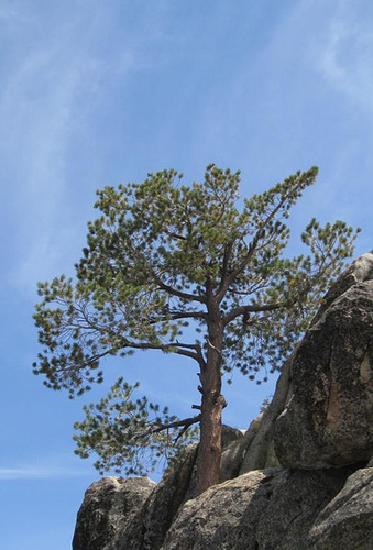 Big Bear Lake Castle Rock (1370a)