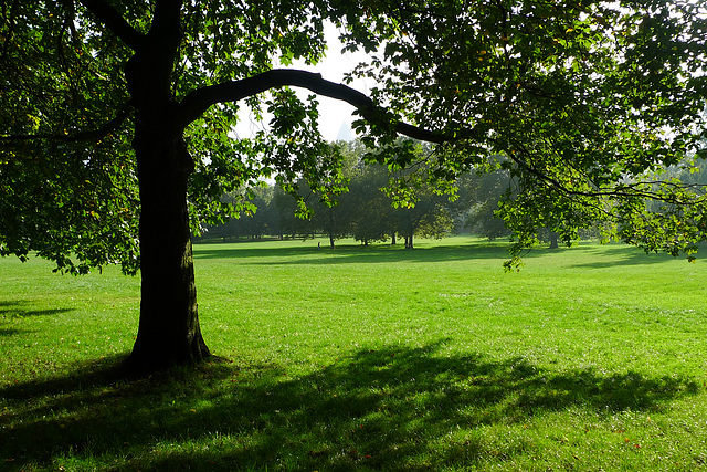 grueneburgpark-1170187