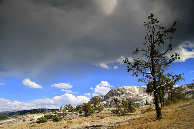 The Terraces at Mammoth Hot Springs