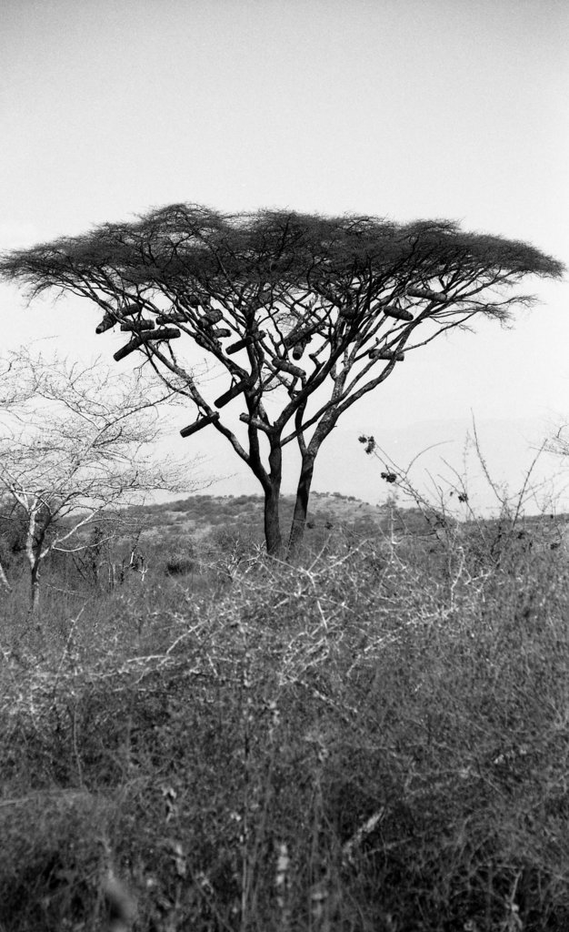 Ethiopia 2005/6