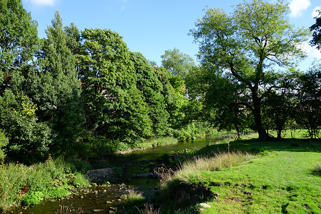 Late Summer / early Autumn at Pendle Water, Brierfield.