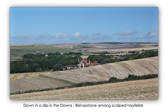 Bishopstone's hayfields - 16.9.2013