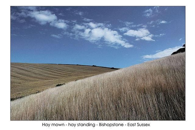 Hay made and unmade - Bishopstone - 16.9.2013