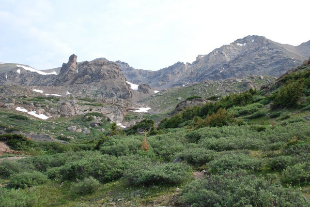 Meadow and Ridgeline