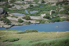 Solitary Fisherman