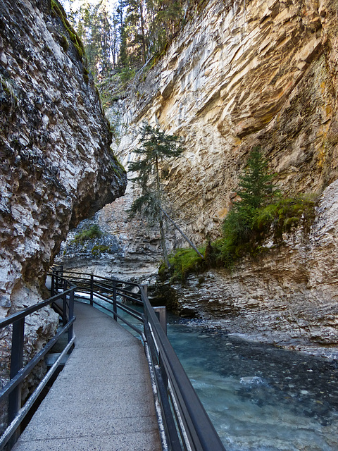 Walkway up to Lower Falls, Johnston Canyon