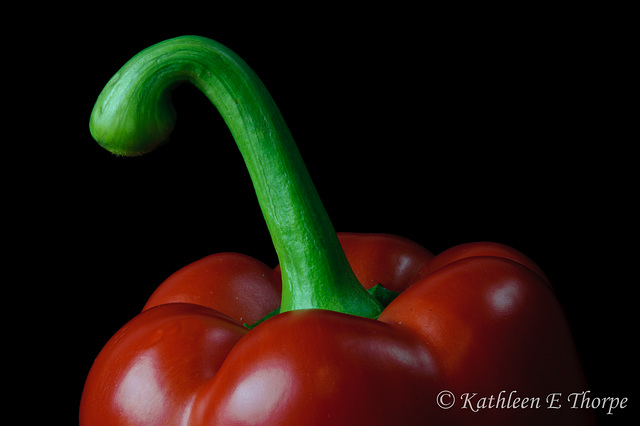 Red Bell Pepper Still Life-1