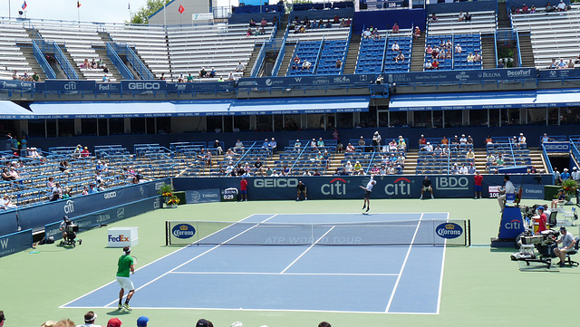 Matosevic v. Tursunov