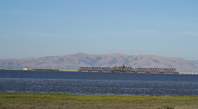 Dumbarton Rail Bridge SF Bay (0432)