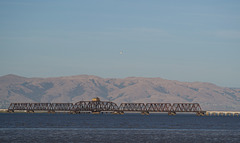 Dumbarton Rail Bridge SF Bay (0431)