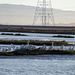 SF Bay National Wildlife Refuge (0447)