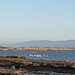 SF Bay National Wildlife Refuge (0450)