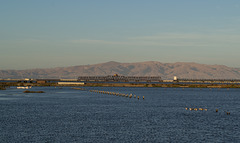 SF Bay National Wildlife Refuge (0455)