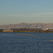 SF Bay National Wildlife Refuge (0455)