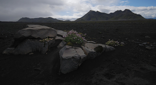 Laugavegur Trek: Day 3