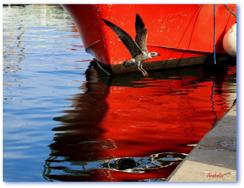 Au port de Martigues