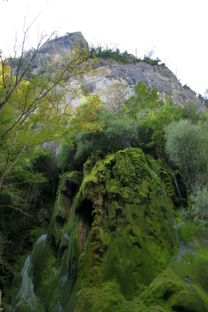 Cascade verte