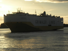 Autofrachter GRANDE SICILIA auf der Elbe