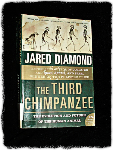 THE THIRD CHIMPANZEE