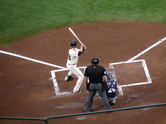 Buster Posey